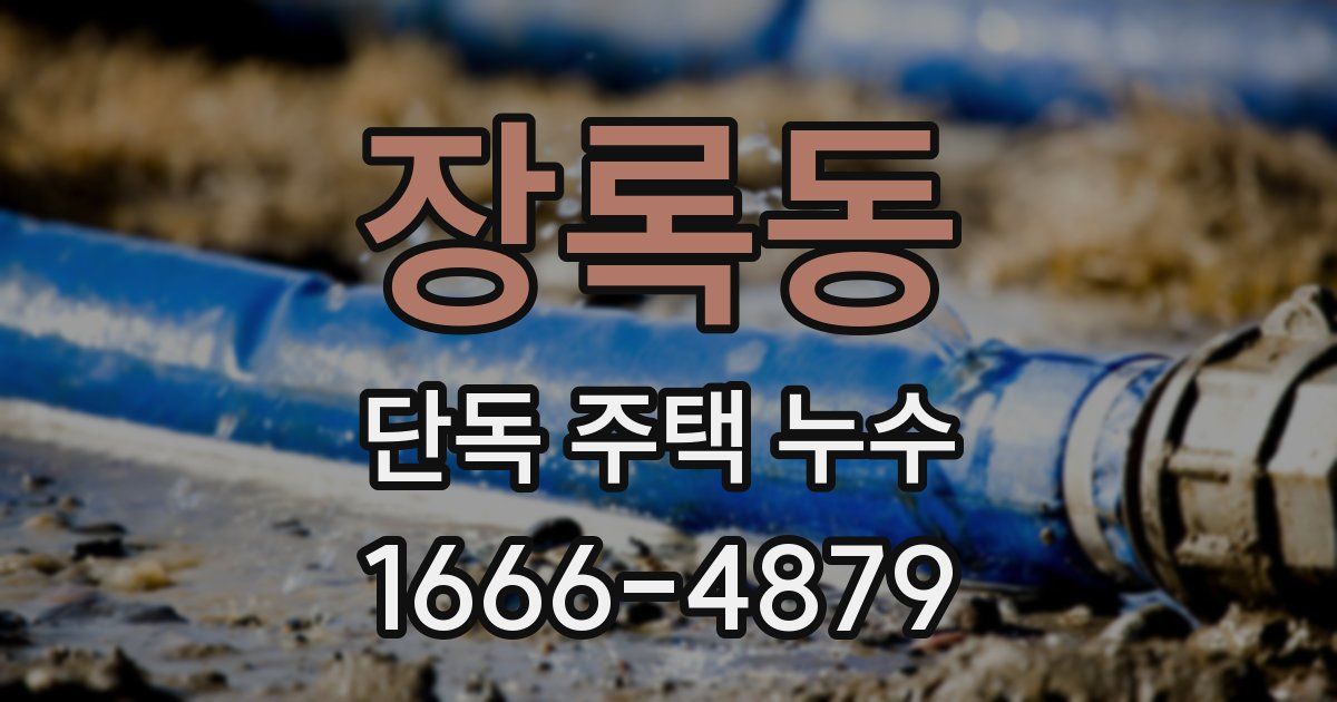 장록동 단독 주택 누수