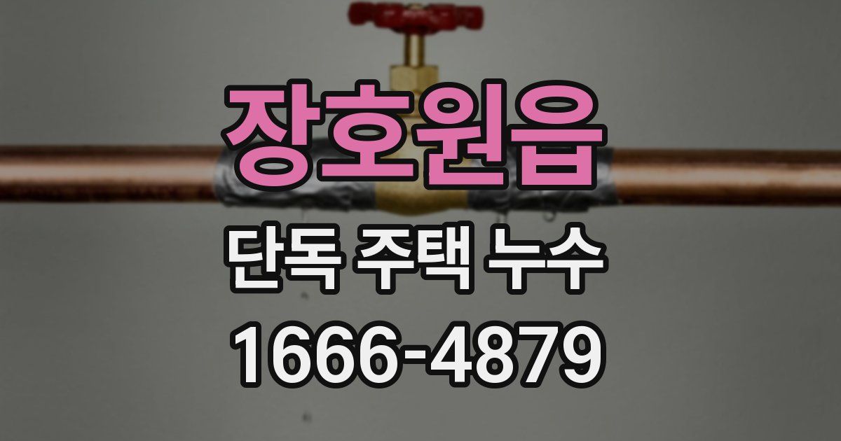 장호원읍 단독 주택 누수