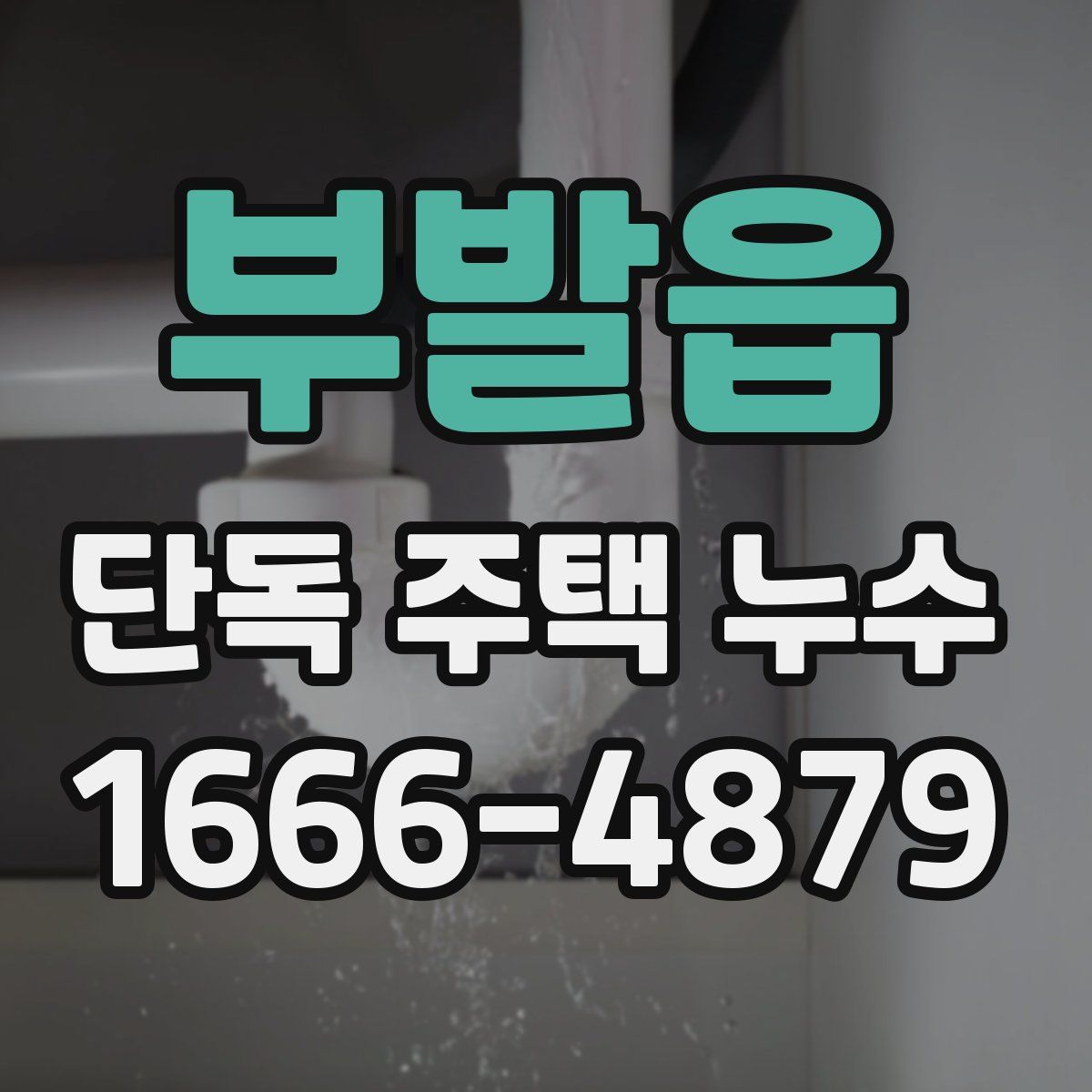 부발읍 단독 주택 누수