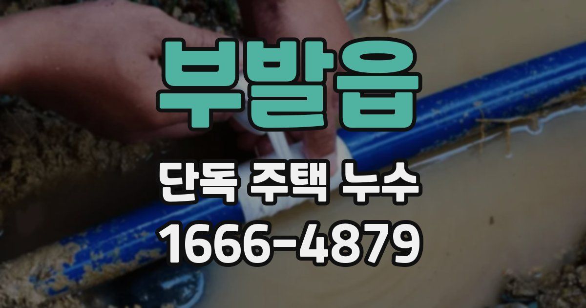 부발읍 단독 주택 누수