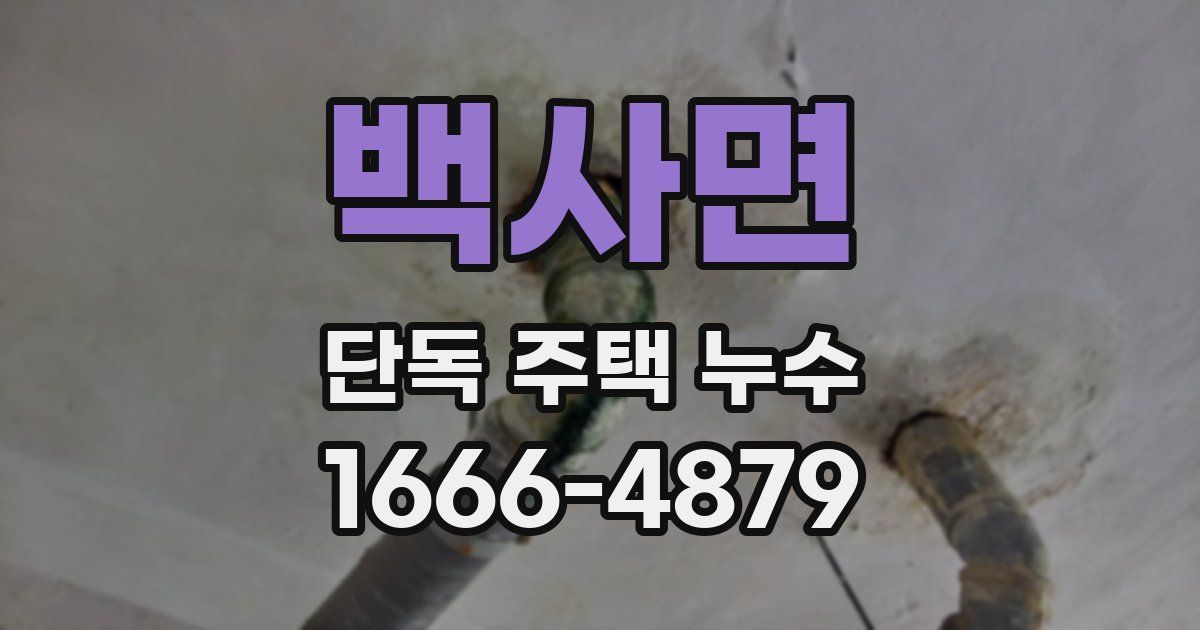 백사면 단독 주택 누수