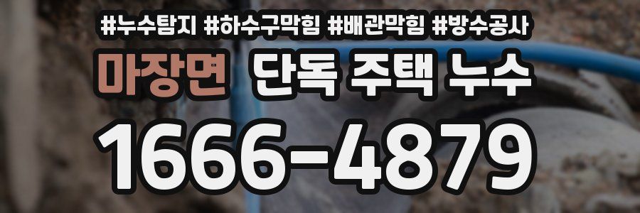 마장면 단독 주택 누수