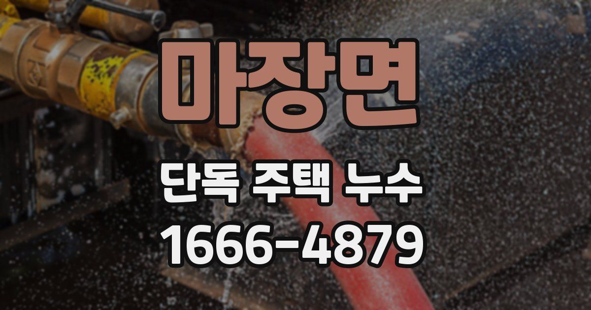 마장면 단독 주택 누수