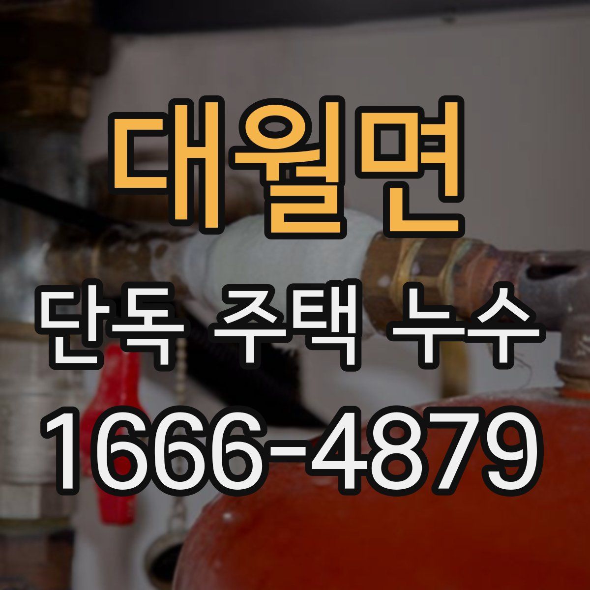 대월면 단독 주택 누수