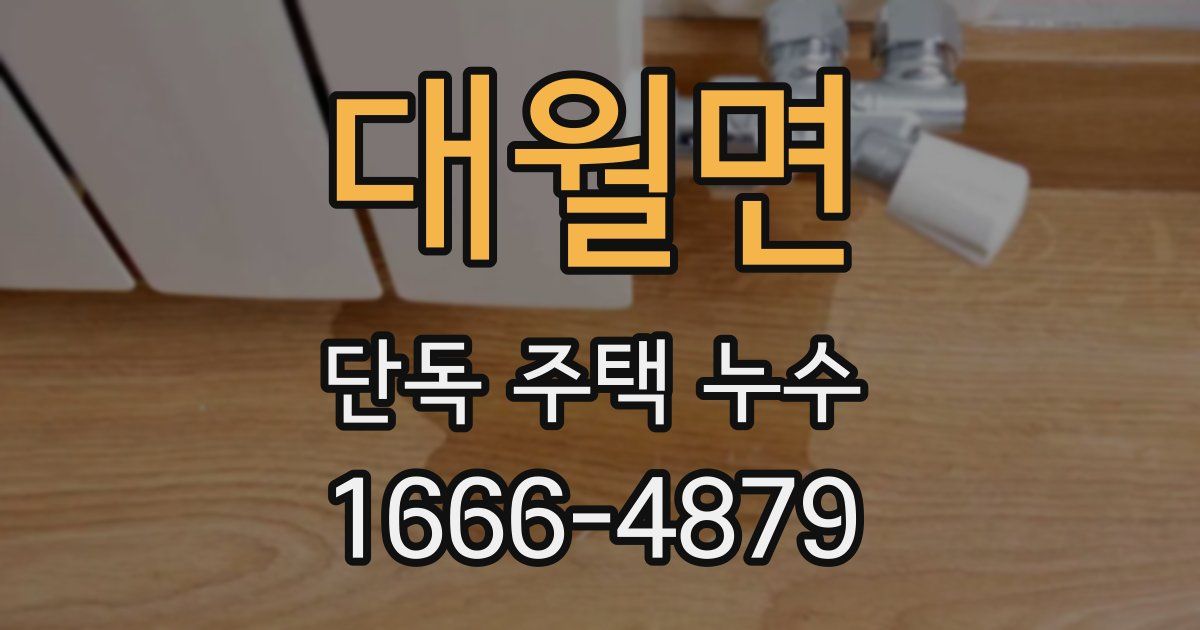 대월면 단독 주택 누수