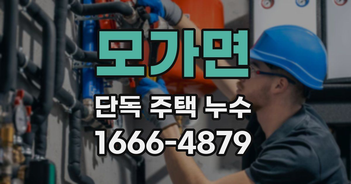 모가면 단독 주택 누수