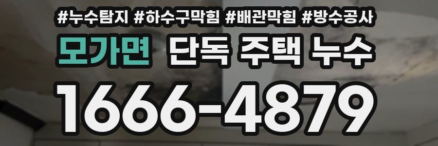 모가면 단독 주택 누수