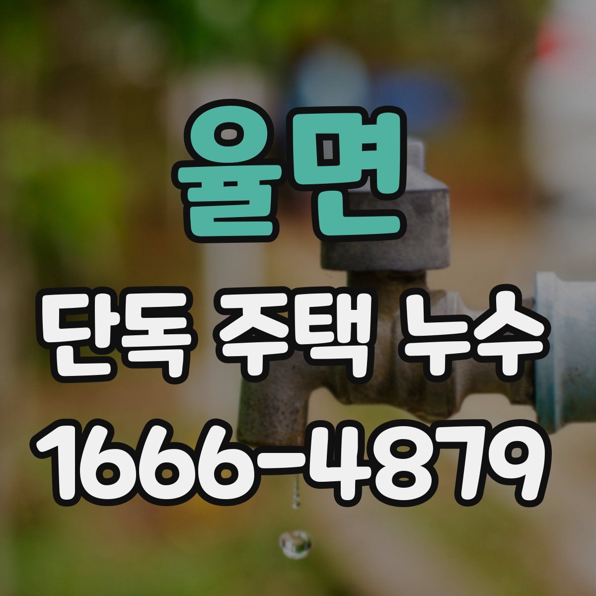 율면 단독 주택 누수