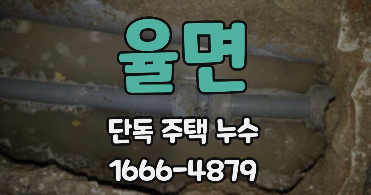 율면 단독 주택 누수