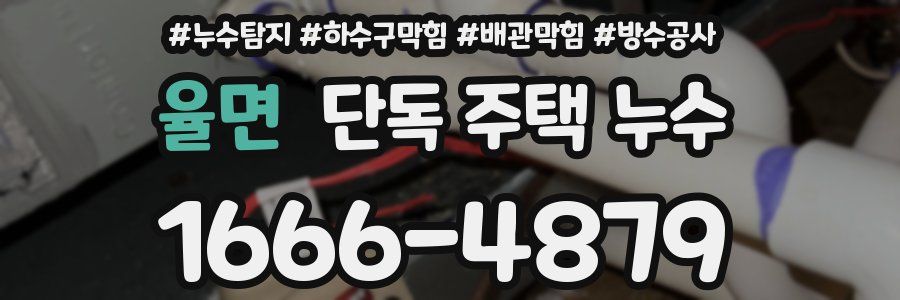 율면 단독 주택 누수