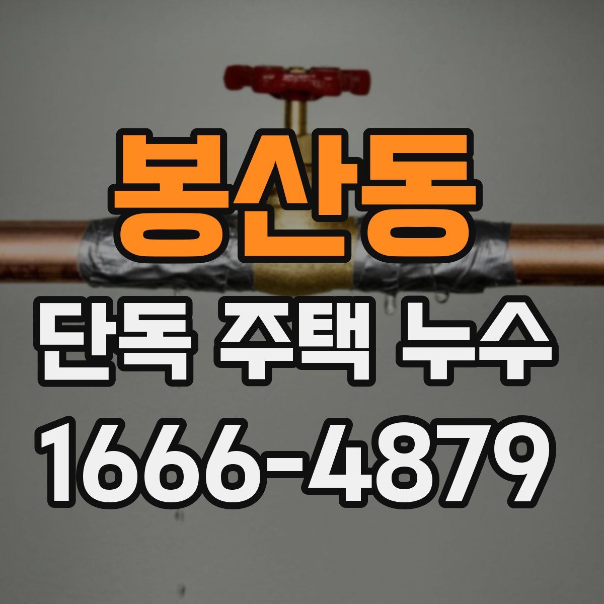 봉산동 단독 주택 누수