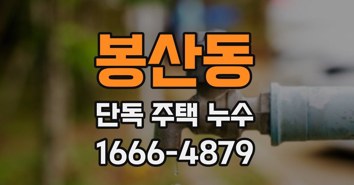 봉산동 단독 주택 누수