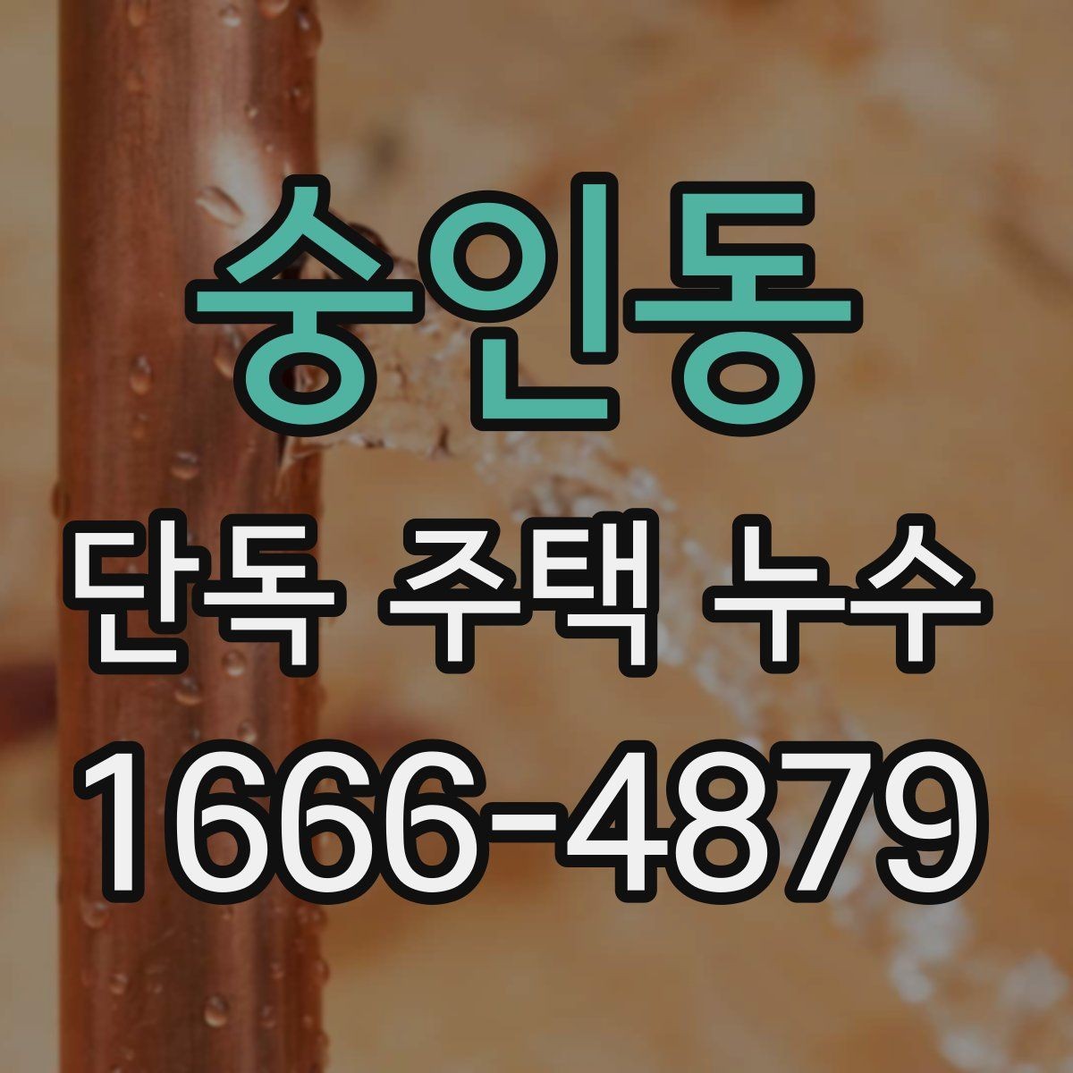 숭인동 단독 주택 누수 천장 변색이 의미하는 것