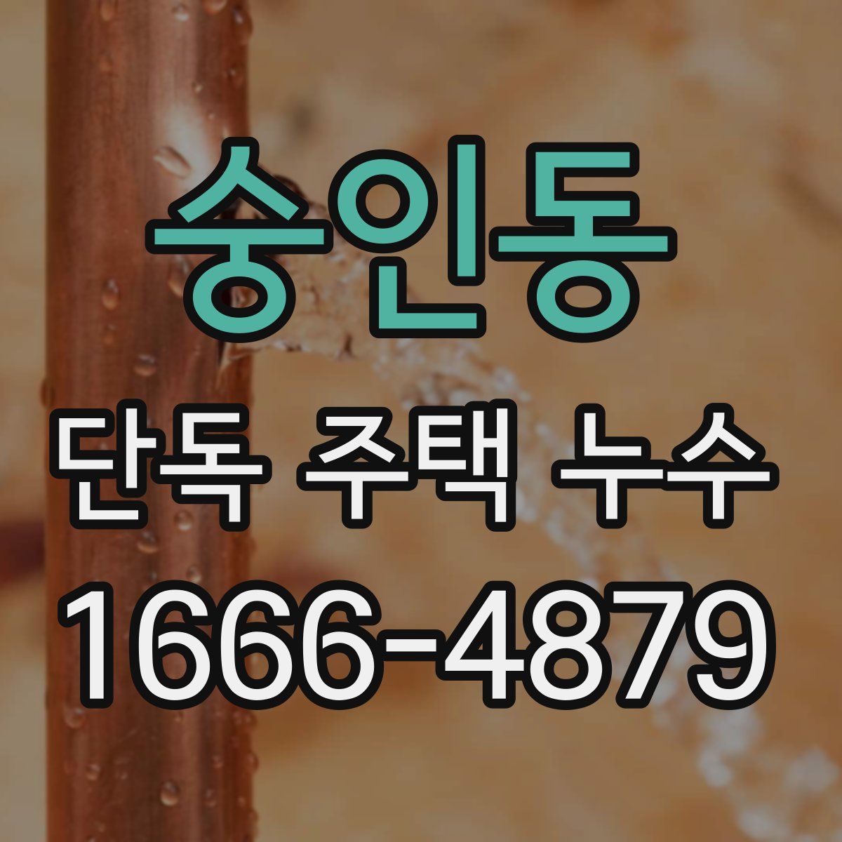 숭인동 단독 주택 누수
