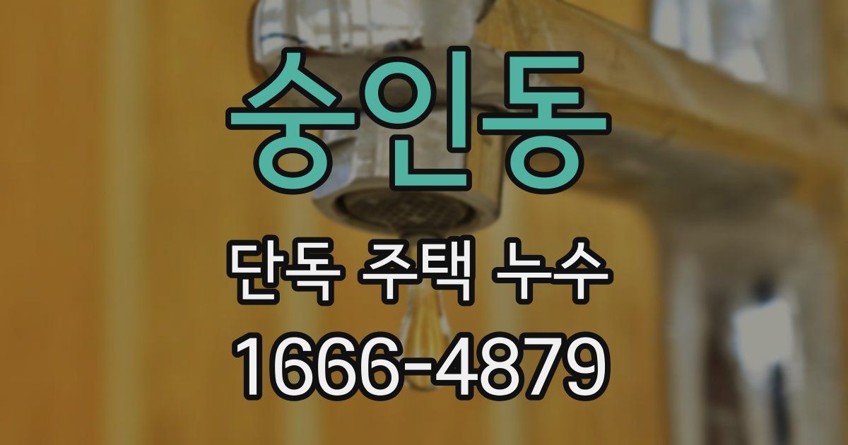 숭인동 단독 주택 누수