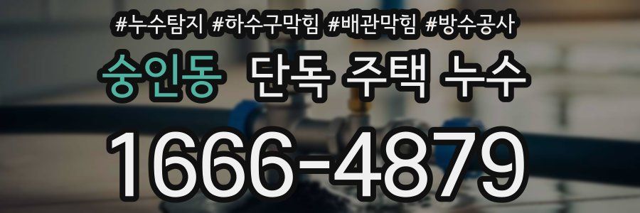 숭인동 단독 주택 누수