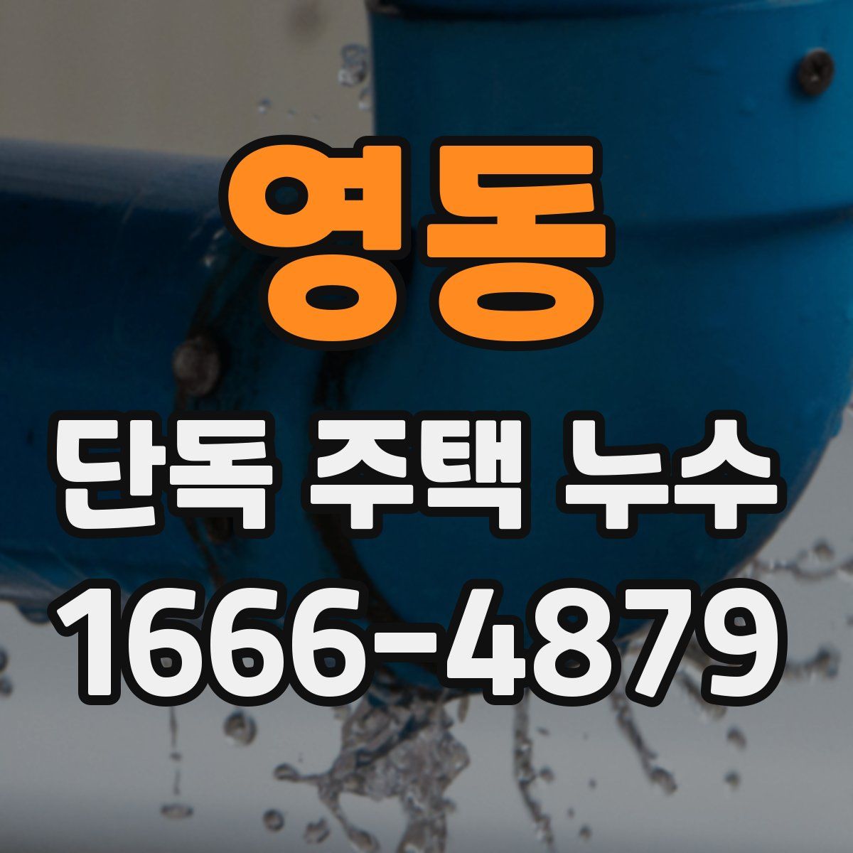 영동 단독 주택 누수