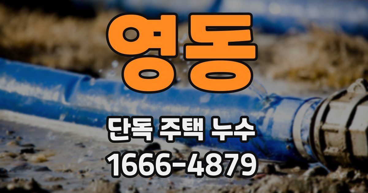 영동 단독 주택 누수