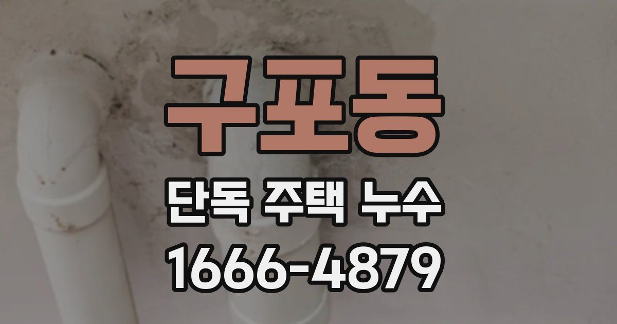 구포동 단독 주택 누수