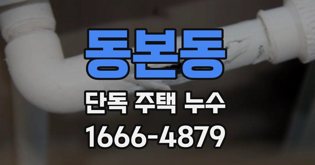동본동 단독 주택 누수