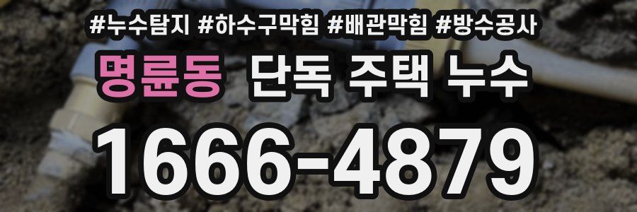 명륜동 단독 주택 누수