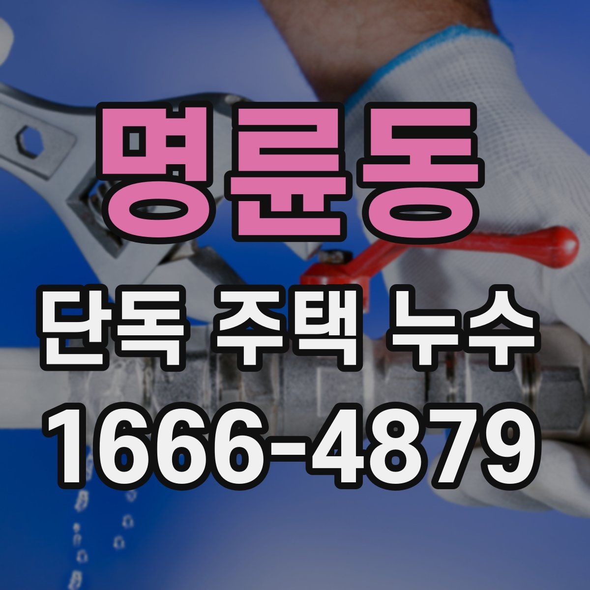 명륜동 단독 주택 누수