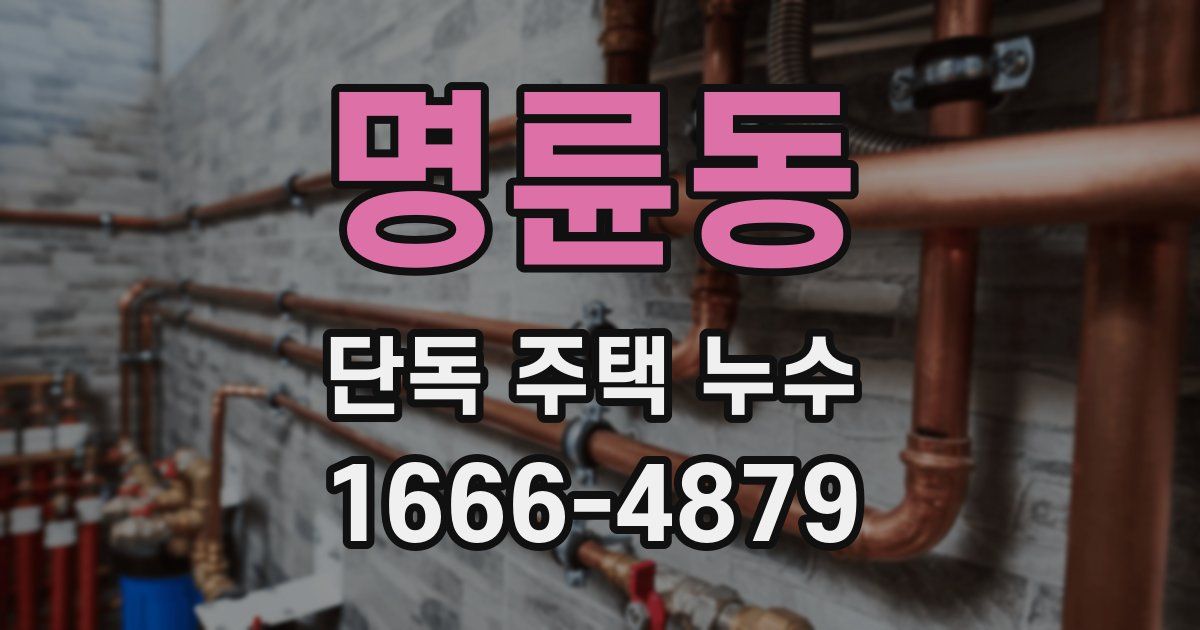 명륜동 단독 주택 누수