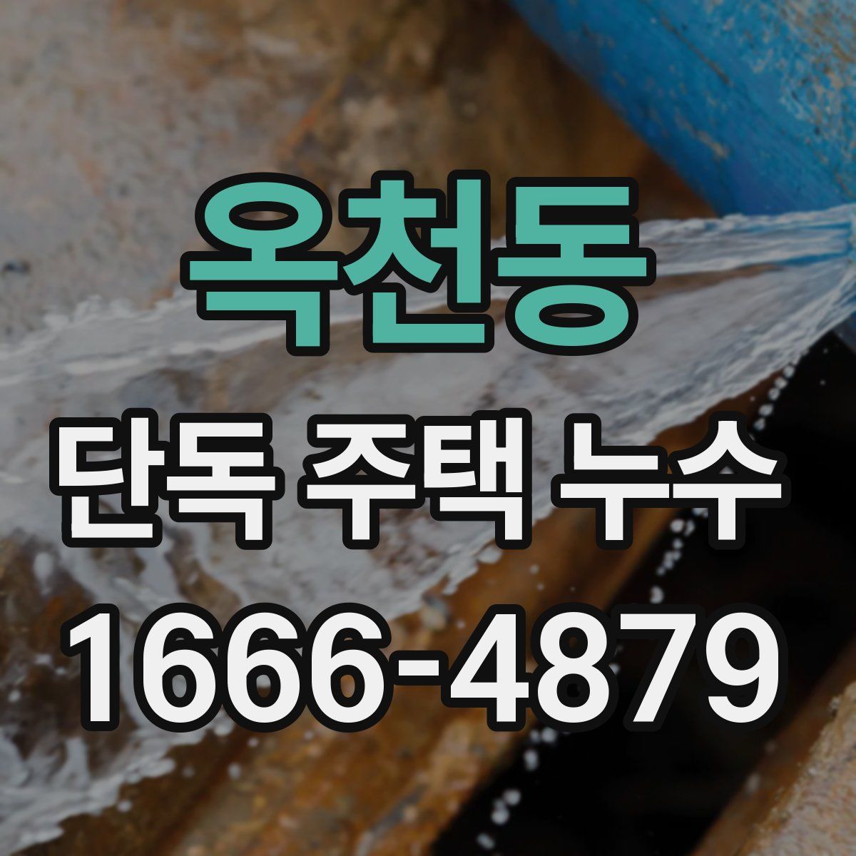 옥천동 단독 주택 누수