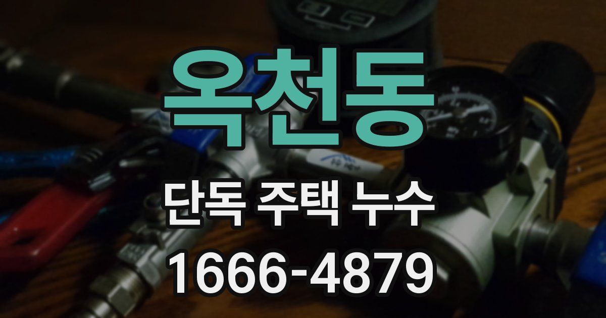 옥천동 단독 주택 누수