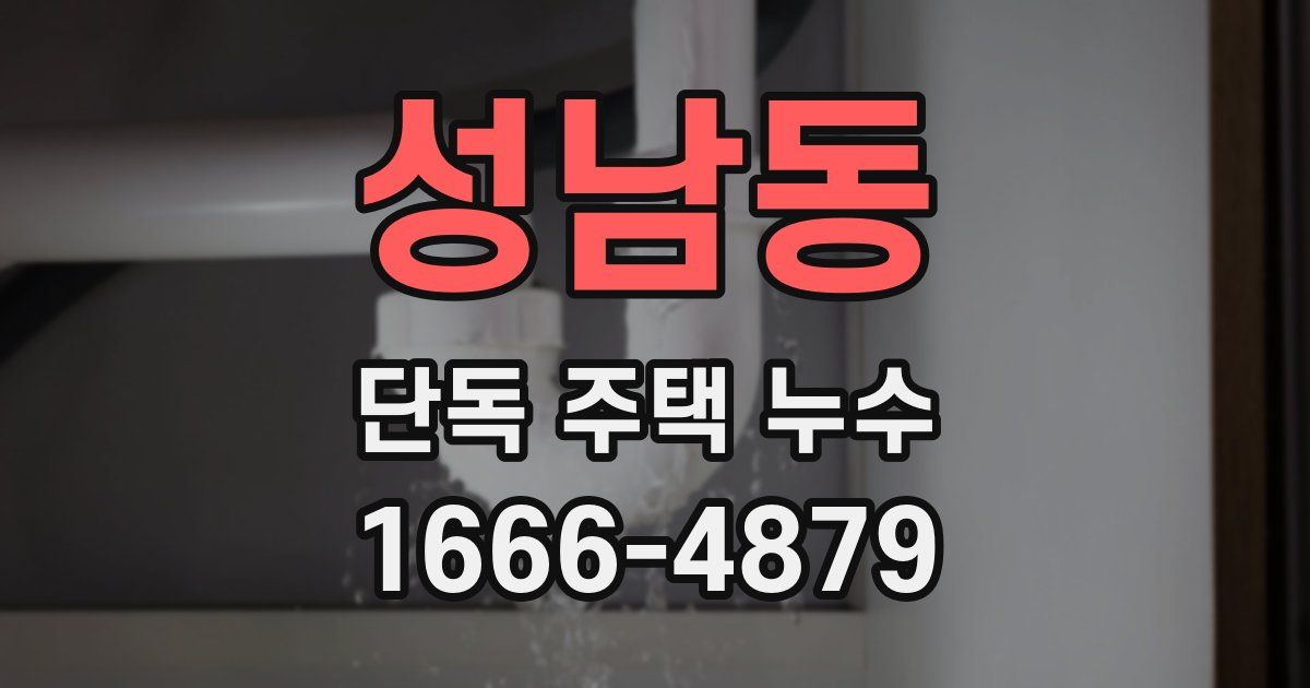 성남동 단독 주택 누수