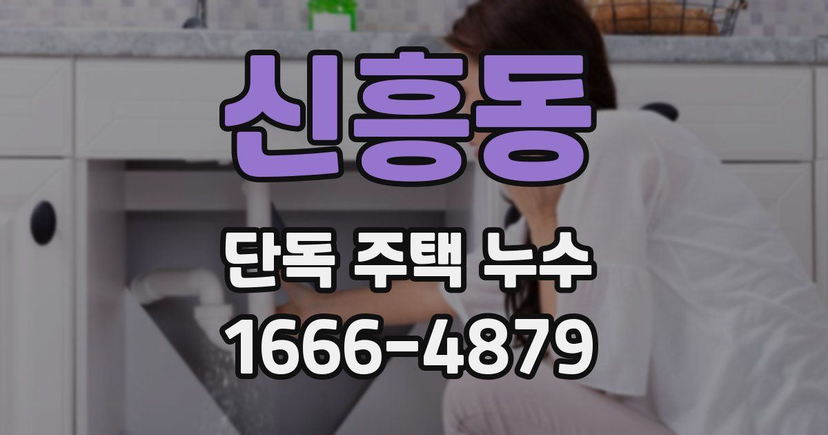 신흥동 단독 주택 누수