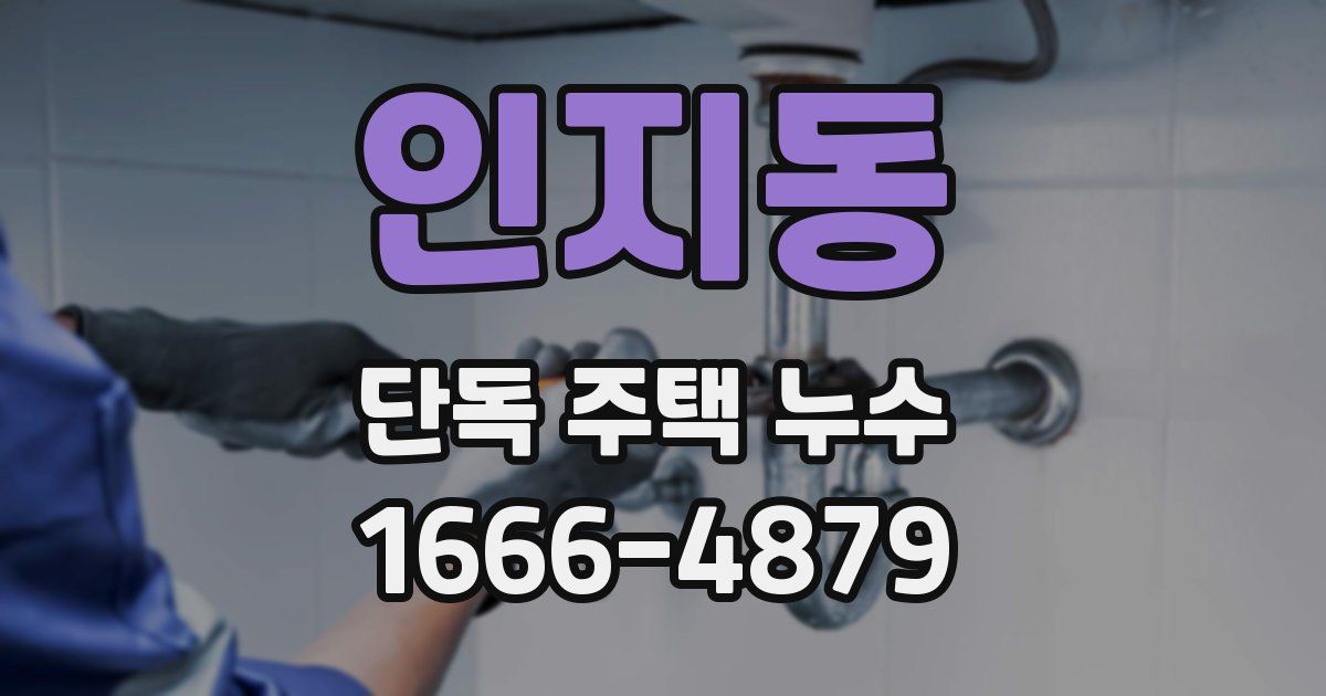 인지동 단독 주택 누수