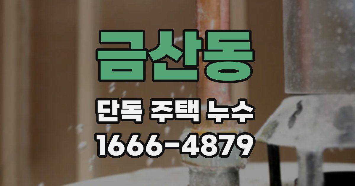 금산동 단독 주택 누수