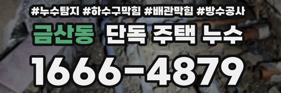 금산동 단독 주택 누수