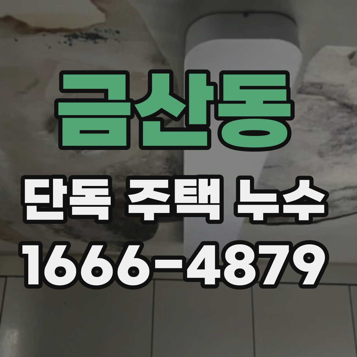 금산동 단독 주택 누수
