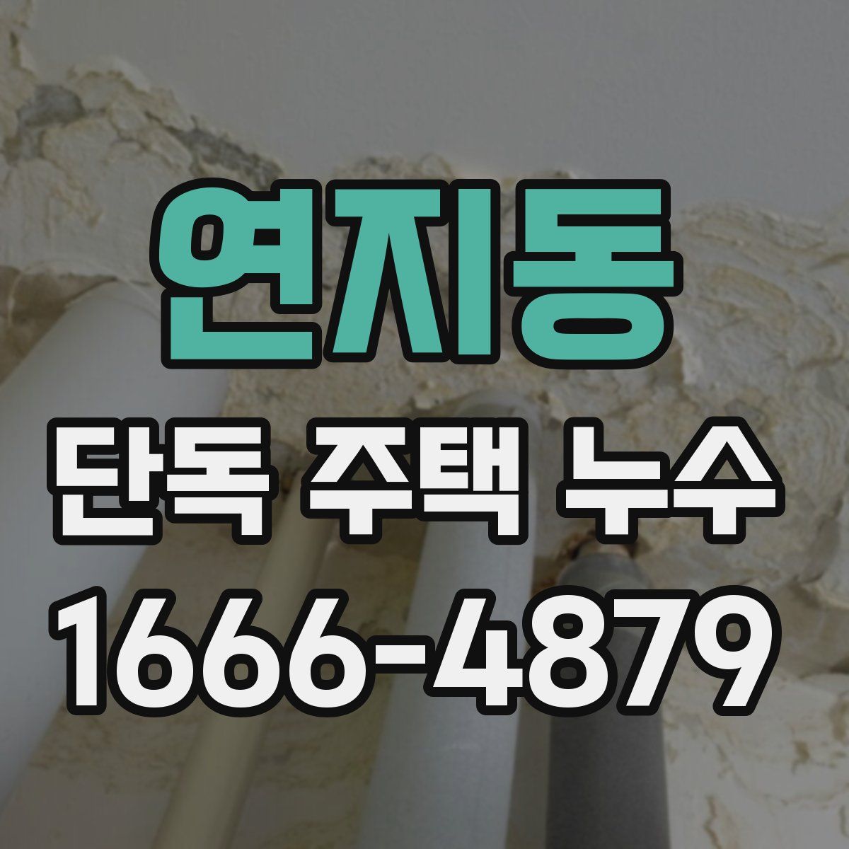 연지동 단독 주택 누수