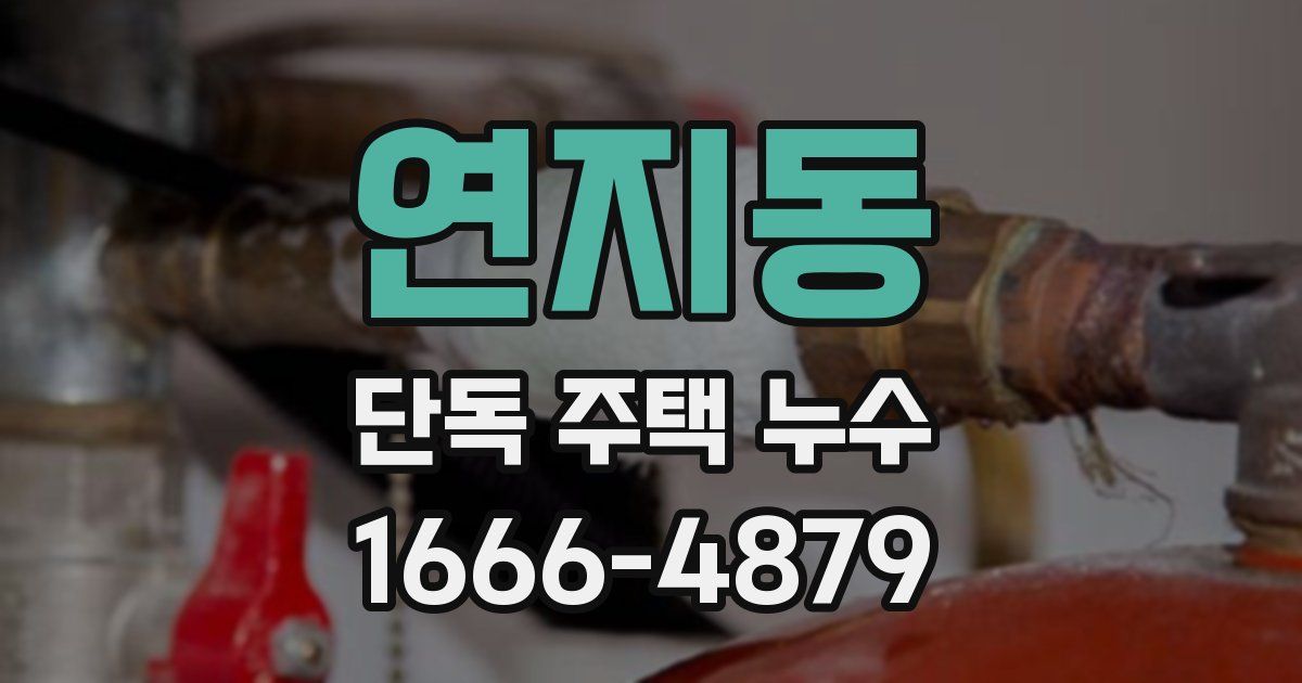 연지동 단독 주택 누수