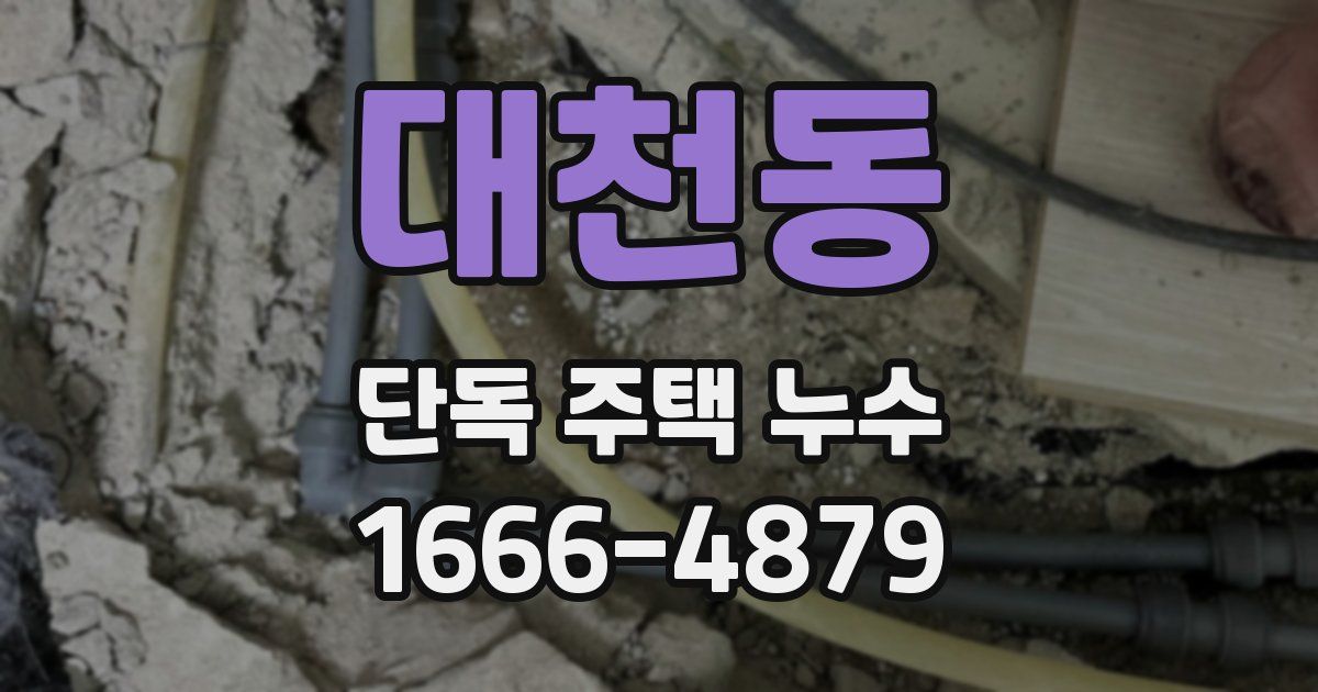 대천동 단독 주택 누수