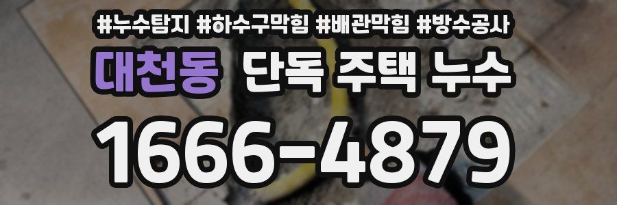 대천동 단독 주택 누수