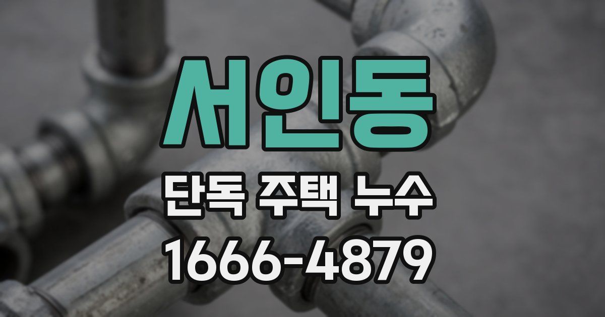 서인동 단독 주택 누수