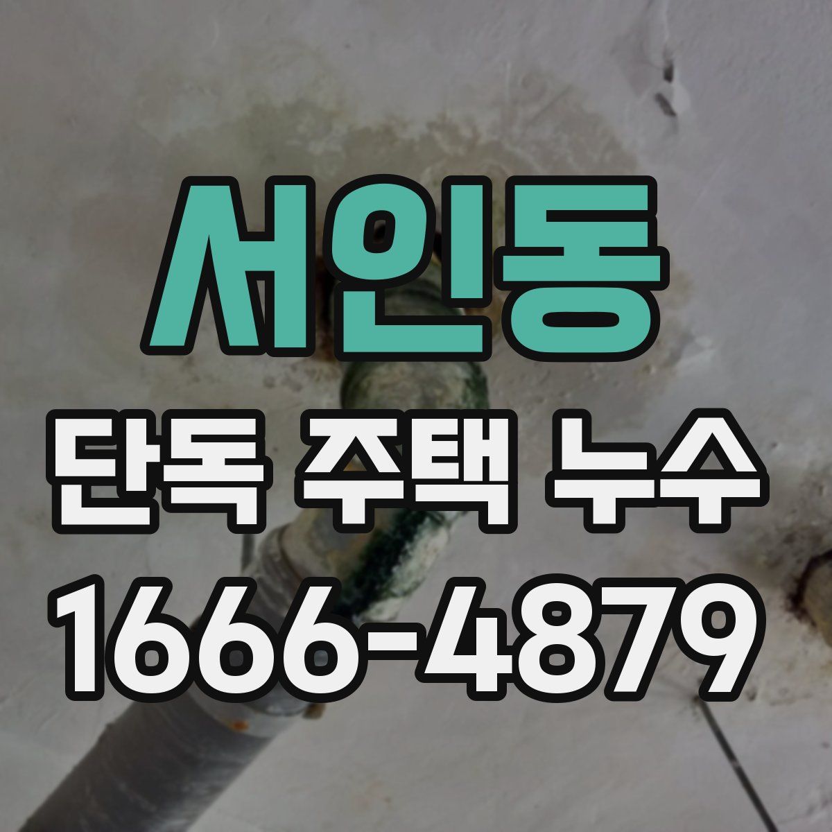 서인동 단독 주택 누수