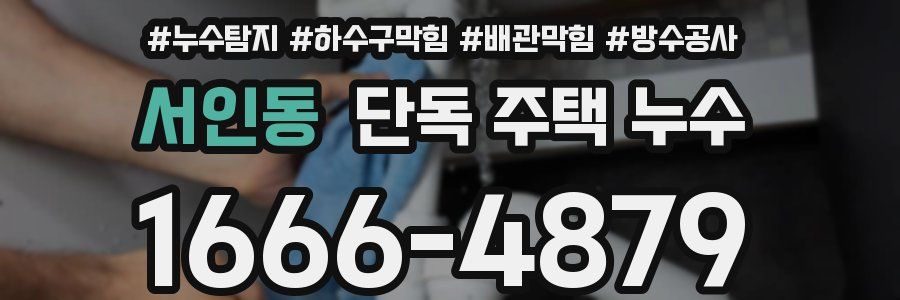 서인동 단독 주택 누수