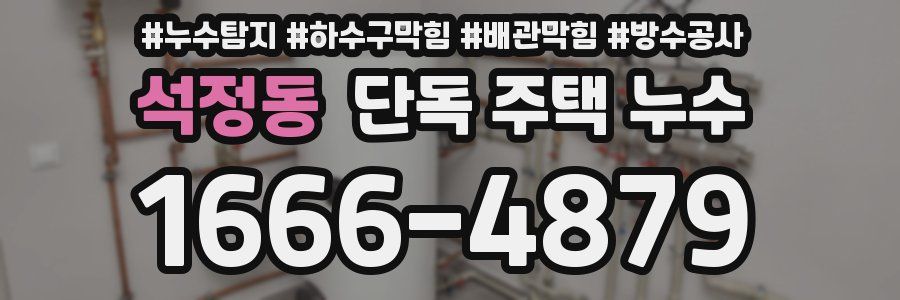 석정동 단독 주택 누수