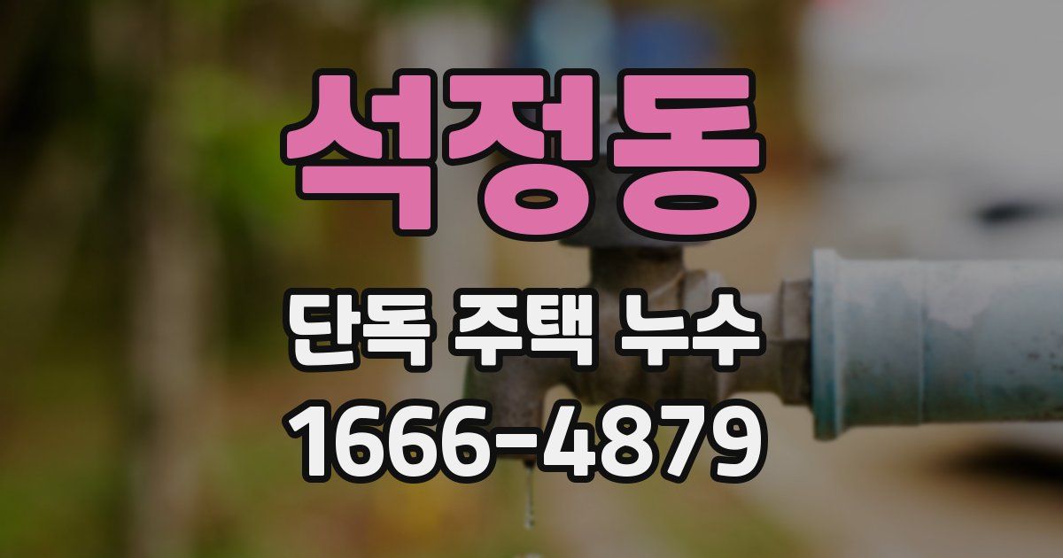 석정동 단독 주택 누수