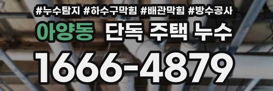 아양동 단독 주택 누수