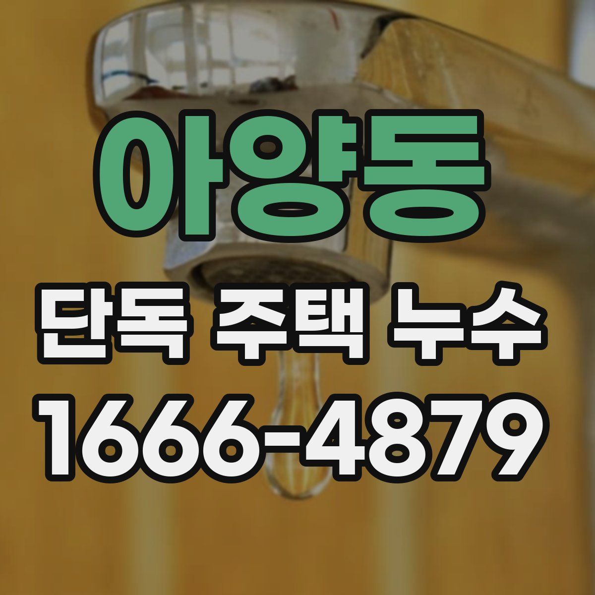 아양동 단독 주택 누수