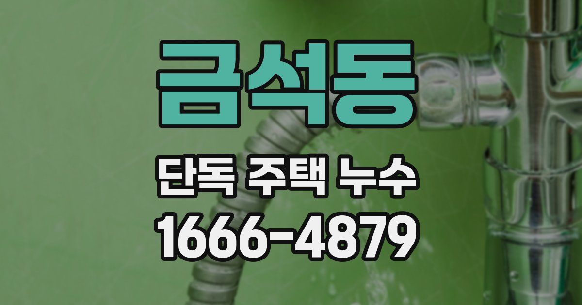 금석동 단독 주택 누수
