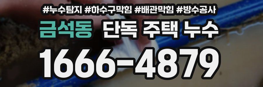 금석동 단독 주택 누수
