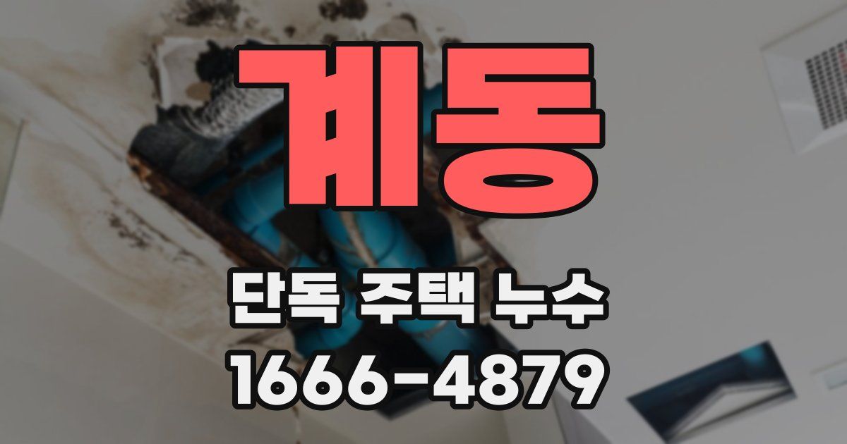 계동 단독 주택 누수