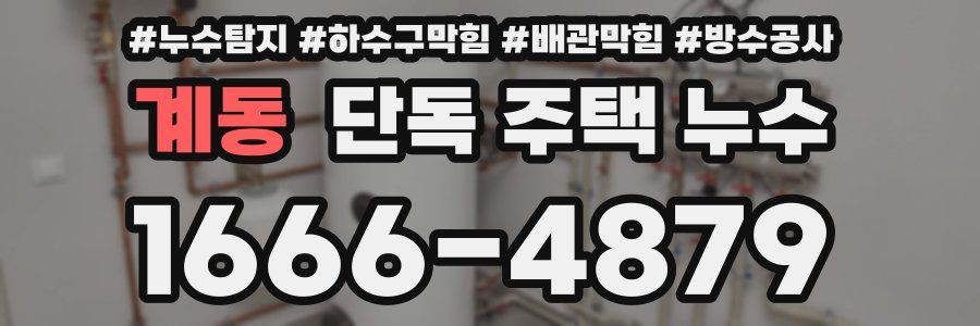 계동 단독 주택 누수
